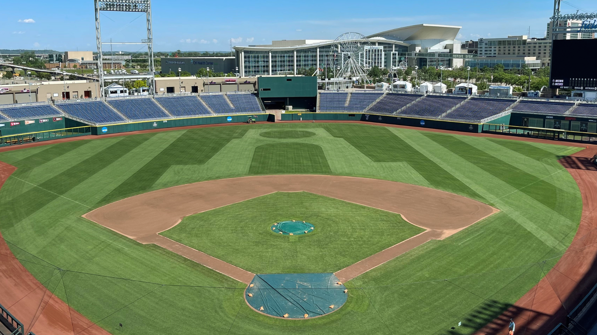 Numbers Guide to the 2024 College World Series